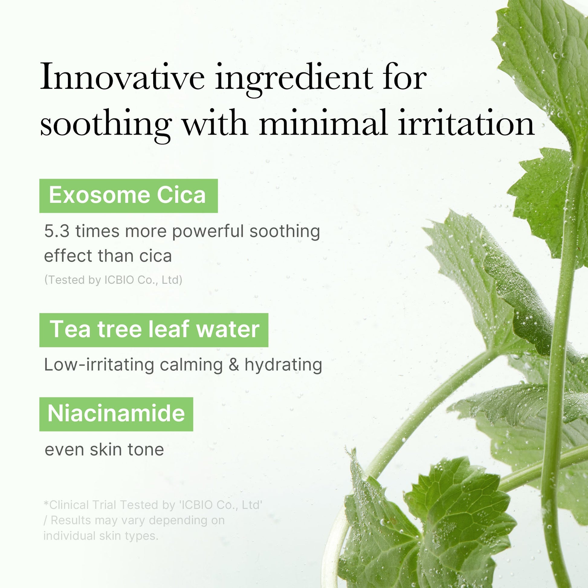 exosome-cica-calming-toner-pads-m4 03_d73c7e58-fe02-42b9-8dfe-6db8bcfc4a9d.jpg
